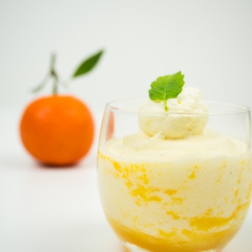 mandarinen, mousse, mandarinenmousse, dessert im glas, im glas, nocken, suessspeise, festlich, weihnachten, festtage, gaeste, verwoehnen, mandarindli, luftig, leicht, zart, edles dessert, edel, idee, einfach kochen, einfaches rezept, rezepte, schweizer foodblogs, foodwerk.ch, foodwerk, foodblog, blog, food, kochen, backen, cook, bake, swiss, swiss foodblog, foodblogger, foodie, instafood, schweizer foodblog, luzern, kochanleitung, foodies, foodporn, rezept ideen, menuevorschlaege, menueplan, vorspeise, hauptgang, dessert, familyblog