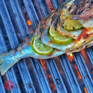 Dorade auf dem grill zubereitet, mit Limetten Pesto rosso und foodwerk.ch