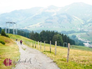 Weiter geht es auf dem Spatzmänni Weg