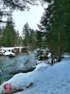 Im Wald bei der Skateline mit Blick auf die Albula