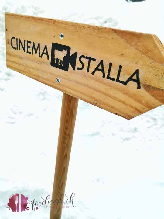 hier gehts zum cinema stalla