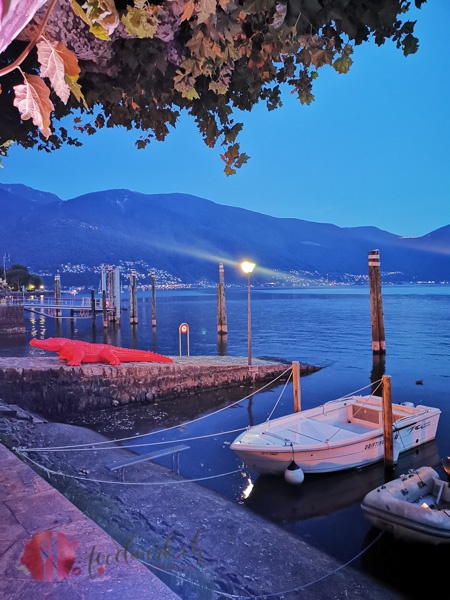 Hafen in ABendstimmung in Ascona