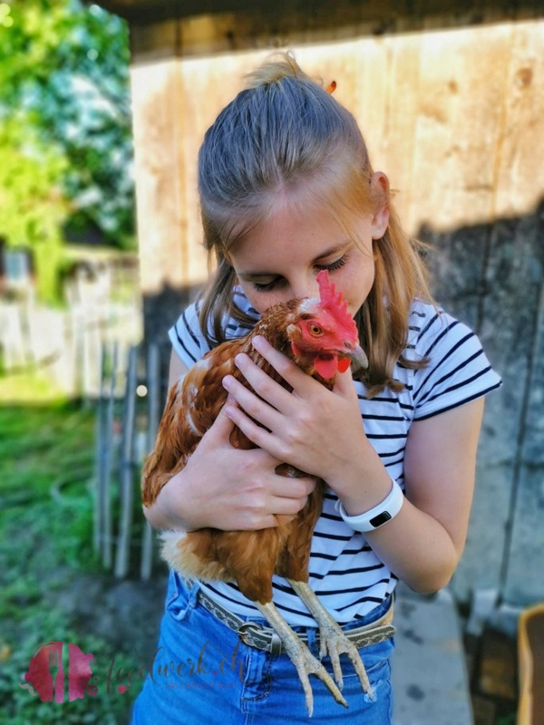Liv mit Huhn