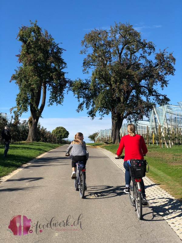 Radtour um AIlingen