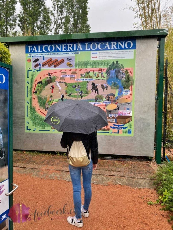 Im Regen vor der Falconeria
