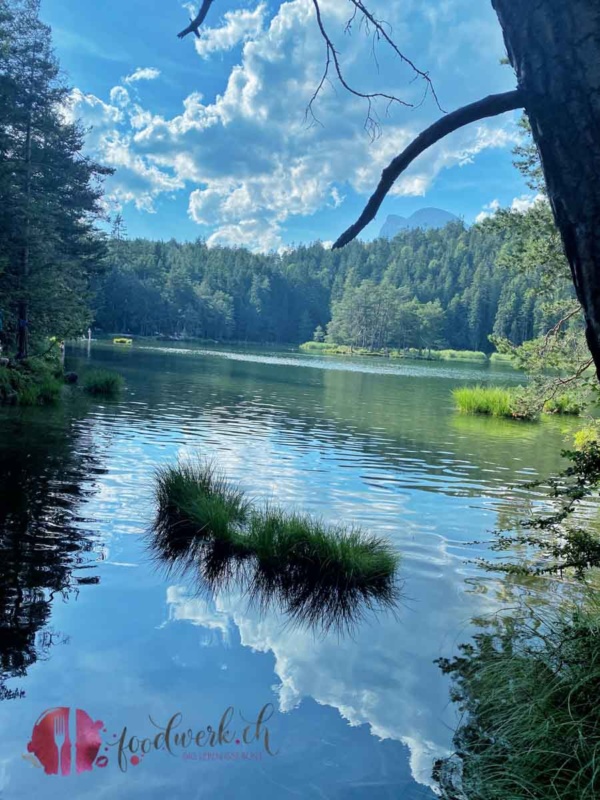 Möserer Waldsee mitten in Mösern