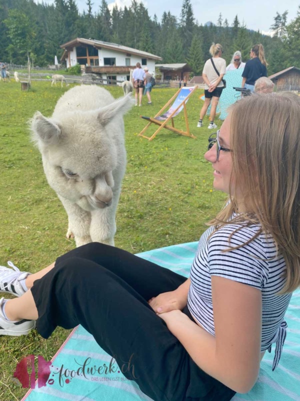 Alpaka zu besuch bei Liv