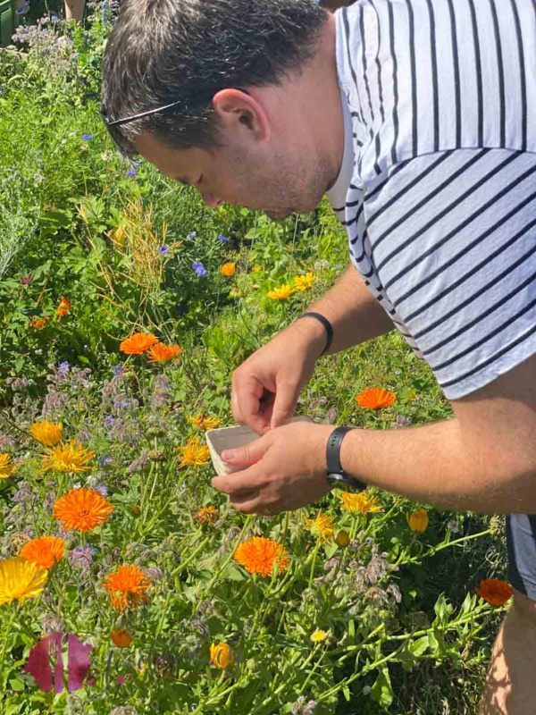 Tobi beim Blumen pflücken