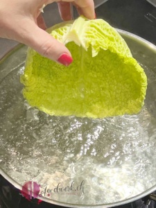 wirz Blätter im kochendem Wasser blanchieren und in Eiswasser abschrecken damit sie schön grün bleiben