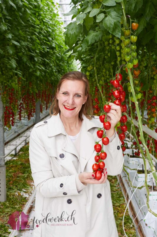 Caro mit Tomaten im Gewächshaus