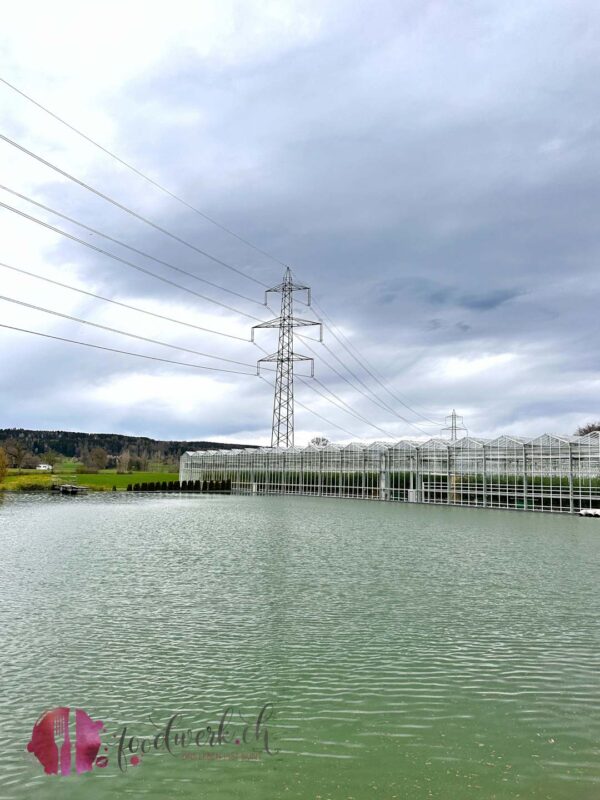 Wasserspeicher mit Gewächshaus